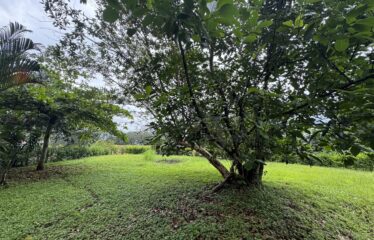 Lot for sale in Orotina.