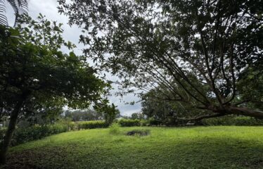 Lot for sale in Orotina.