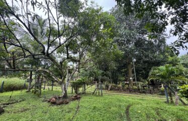 Lot for sale in Orotina.