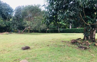 Lot for sale in Orotina.