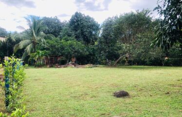 Lot for sale in Orotina.