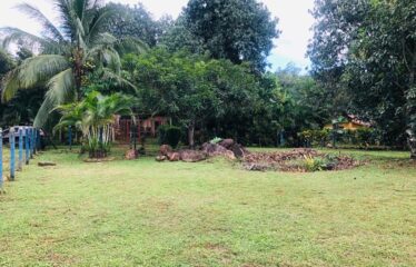 Lot for sale in Orotina.