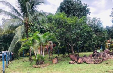 Lot for sale in Orotina.