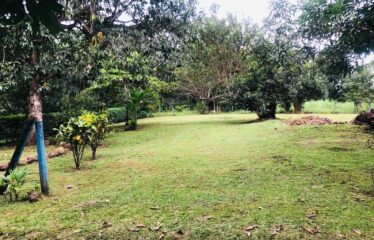 Lot for sale in Orotina.