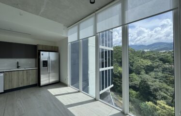 Alquiler de apartamento en condominio en Avenida Escazú.