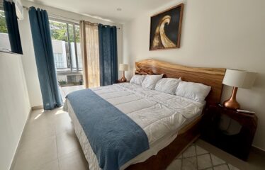 Alquiler de apartamento en condominio en Santa Ana.