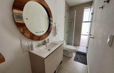 Alquiler de apartamento en condominio en Santa Ana.