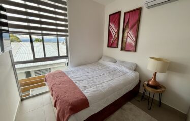 Alquiler de apartamento en condominio en Santa Ana.