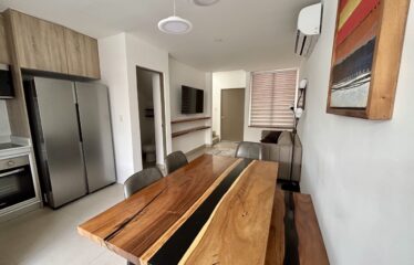 Alquiler de apartamento en condominio en Santa Ana.