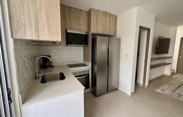 Alquiler de apartamento en condominio en Santa Ana.