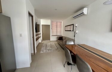 Alquiler de apartamento en condominio en Santa Ana.