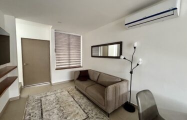 Alquiler de apartamento en condominio en Santa Ana.