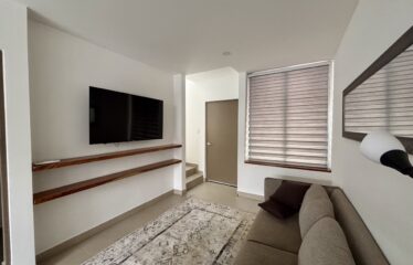 Alquiler de apartamento en condominio en Santa Ana.