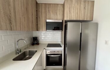 Alquiler de apartamento en condominio en Santa Ana.