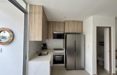 Alquiler de apartamento en condominio en Santa Ana.