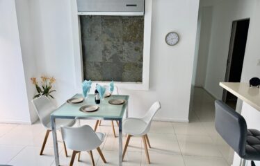 Apartment rental in a condominium in Escazú