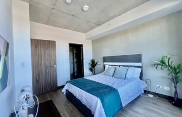 Apartment rental in a condominium in La Uruca.