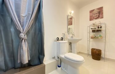 Furnished apartment for rent in a condominium in Curridabat