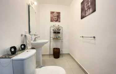 Furnished apartment for rent in a condominium in Curridabat