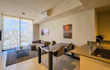 Furnished apartment for rent in a condominium in La Sabana