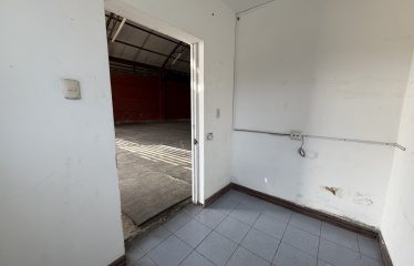 Alquiler de bodega en Zapote