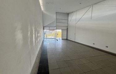 Alquiler de local comercial en Freses, Curridabat