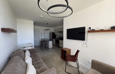 Bienestar y Conveniencia: Apartamento Amueblado con vistas en Monte Alto, Curridabat