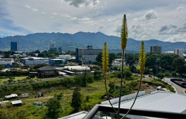 Arte y exclusividad – Venta de Penthouse amueblado en Nucleo Sabana