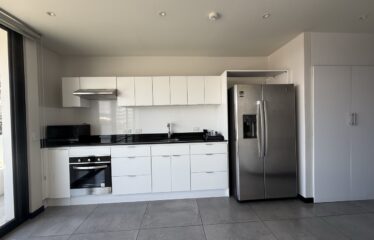 Apartment for Rent in Condominium in Rohrmoser, Pavas