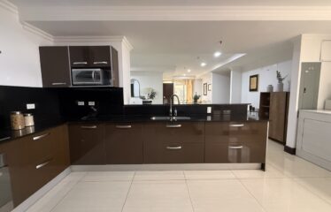 Apartment For Sale in Sabana Sur