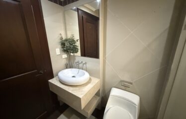 Apartment For Sale in Sabana Sur