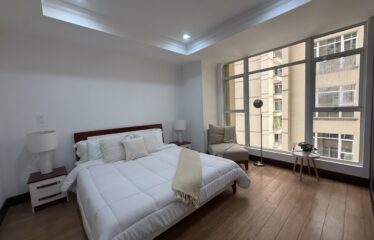 Apartment For Sale in Sabana Sur