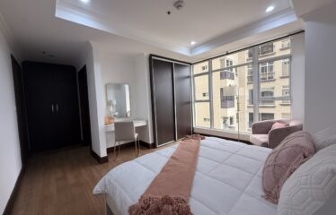 Apartment For Sale in Sabana Sur