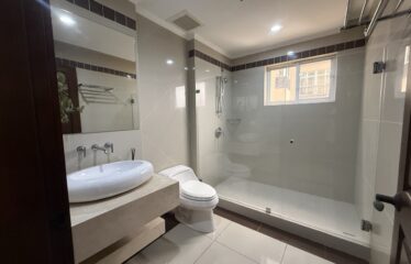 Apartment For Sale in Sabana Sur