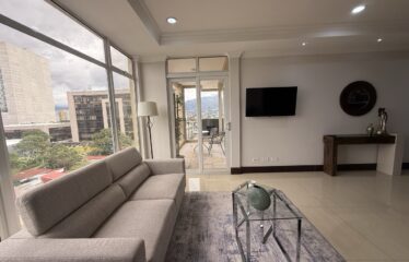 Apartment For Sale in Sabana Sur