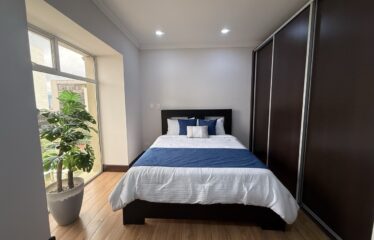 Apartment For Sale in Sabana Sur