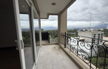 Apartment For Sale in Sabana Sur