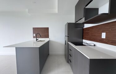 Alquiler de apartamento tipo studio en condominio en Sabana Norte, San José