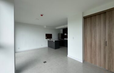 Alquiler de apartamento tipo studio en condominio en Sabana Norte, San José