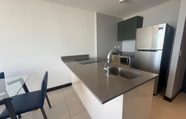 Apartment for Rent in Condo in Rohrmoser.
