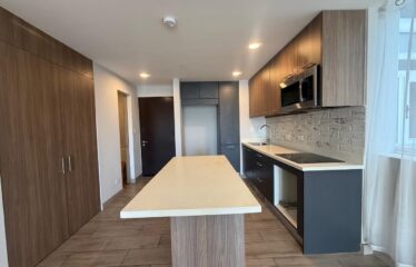 Studio Apartment for Rent in Condo , Cariari Heredia