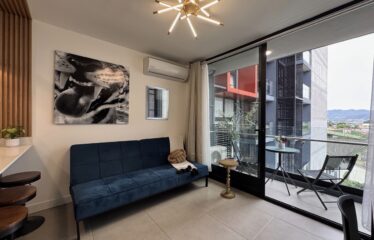 Furnished Apartment for Rent in Condominium in Bö Escalante