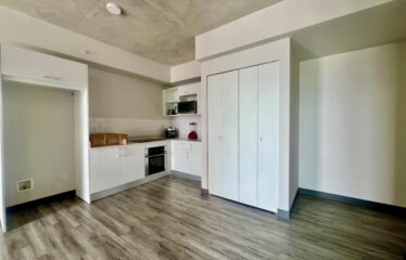 For Rent: Modern Apartment in Sabana Sur, San José