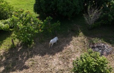 Venta de lote en La Garita, Santa Cruz